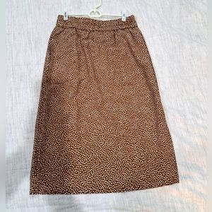 NWT J Crew skirt